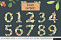 花卉 数字0123456789 高清 抠图 floral numbers 笔刷/样式/文字特效设计素材平面设计