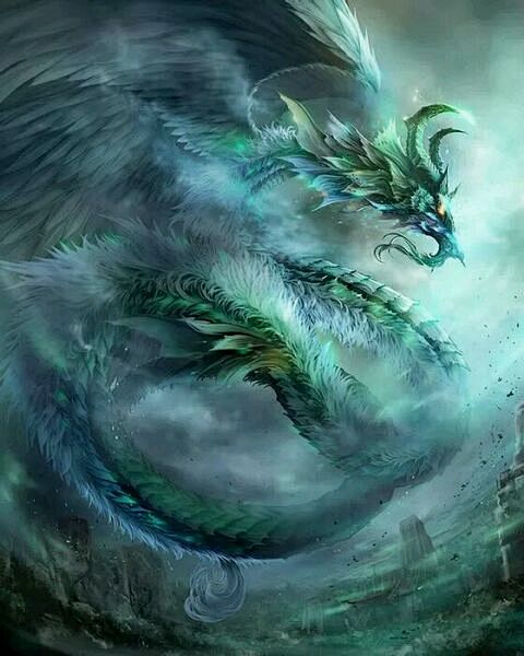 回复：【图贴】小狼开的第一张贴，麻烦前辈...