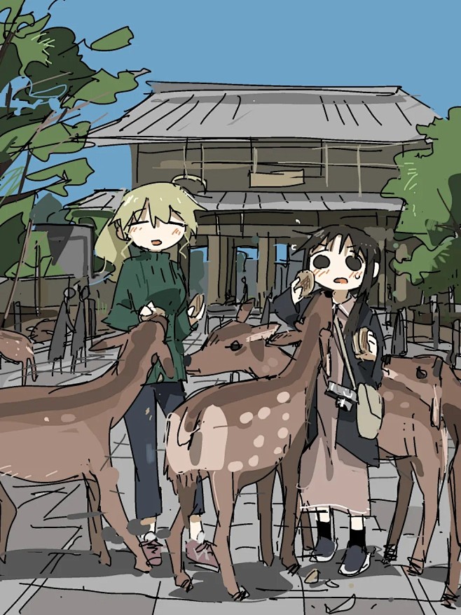 来自分享