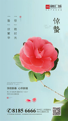 小明与王猫采集到节日海报