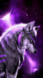 Wolf in purple light of sparkling stars