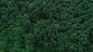 绿色森林的鸟瞰图 免费照片