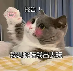 撩男朋友的猫咪表情包（七） - 小红书