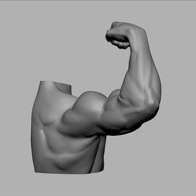 Arm Study
