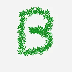 B免抠素材_新图网 https://ixintu.com B 字母 拼音 文字 英文