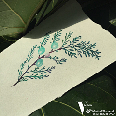V-Tattoo纹身工作室采集到V-Tattoo 手稿可约