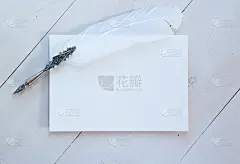 空白相册表为您的文本，复制过去和模拟为您的浪漫和诗歌设计