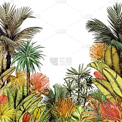 多色的,枝繁叶茂,椰子树,贺卡,鸡尾酒,法国,热带气候,橙色,普罗梯亚木,椰子