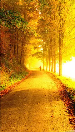 任凭，思念成为一种病，我还是，魂牵梦绕为... - love-k音_marvellous采集到手绘/插画 - 花瓣