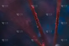 红闪光抽象线