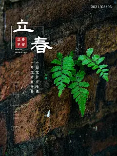 春雨绵绵二十四节气立春