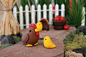 Polymer Chicken and Chicks - Miniature Chicken - Mini Clay Chicken - Fairy Garden Accessory - Terrarium Accessory – Cake Topper
