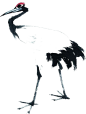 丹顶鹤png 鹤png
