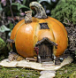 Fairy Garden Pumpkin Cottage #fairygarden,...I have a pumpkin lantern that I got from Walmart this past Halloween.It's made of soft rubber material ,so it would be so easy to cut a door and windows, and transform it into this adorable little fairy home :)