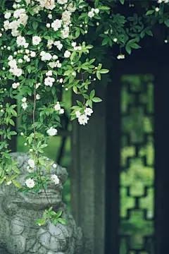  (1067×1600)