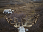 Reindeer people-蒙古北部驯鹿人肖像---酷图编号1301947