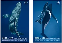 Sea Shepherd – 海洋保護者協會多年來致力於推廣鯨魚保育的觀念，而且也以激進的手段試圖對仍然進行補鯨作業的船隻進行他們所謂的〝擊沉〞行動，他們真的把補鯨船擊沉，而且聲稱自 1979 年以來已經擊沉了 10 艘補鯨船。姑且先不論這個自許為善良海盜（他們的旗幟真的是一個海盜）的組織行為是否妥當，我們在這裡來看看他們所推出的這一系列平面廣告。

不改他們激進的態度，連平面廣告也是一樣的具有衝擊力。他們製作了在過去一年被捕殺的 172 隻鯨魚的大型海報，並將每一隻鯨魚編號，並表明每死一隻鯨魚都嫌太多，