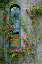 the shape of the window and pink climbing roses look great together: 