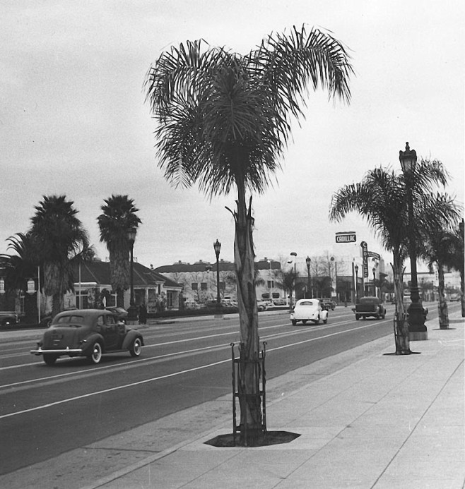 Ansel-Adams-968