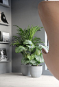 I have invested in some new green plants to add some color and new life to our home. As I...