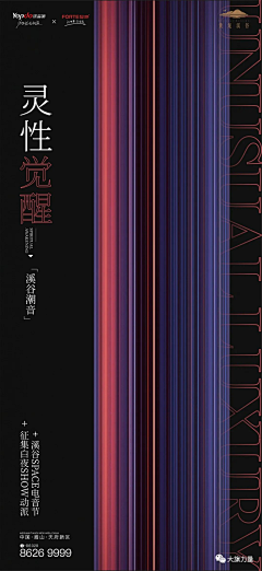 拉三挺住采集到2022系列