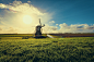 cereal-clouds-country-952632