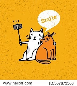 two cats making phot...