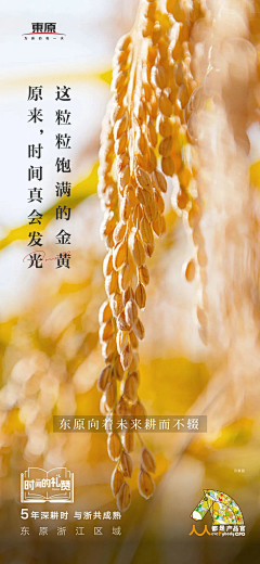 小鱼颖采集到文案