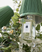 Jo Malone London | 'Tis the Season | Mistletoe Mischief: 