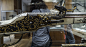 Antique Firearms (204)