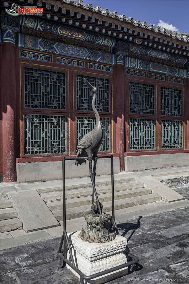 颐和园鹤雕图片素材