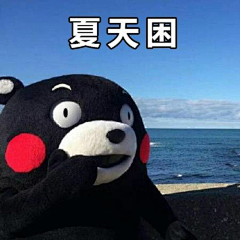 五月的陽光灑下五月的風吹起采集到kumamon 熊本熊