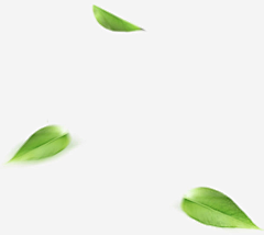 8稳稳的幸福8采集到透明