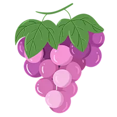 手绘葡萄绿葡萄红葡萄素材