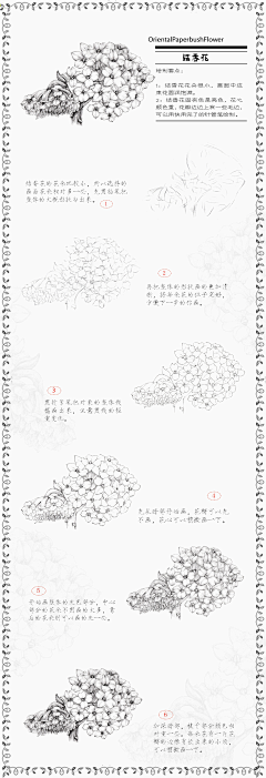 无应采集到手绘