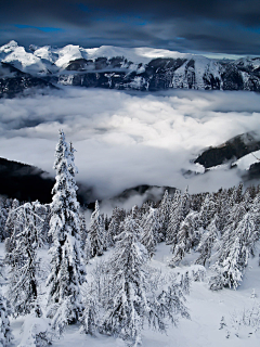 嘎抹_采集到雪景