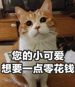 您的小可爱，想要一点零花钱#要零花钱#表情包