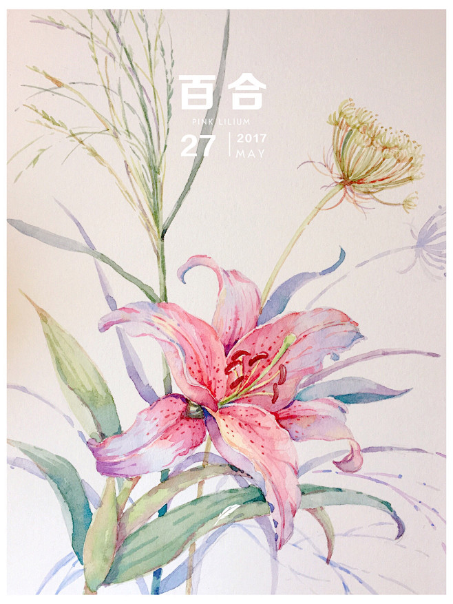 水彩花卉 百合花－P.PNG