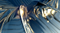 787ec4141600145.6256d530dc833