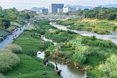 景观群采集到A风格-红树林--湿地--保护区