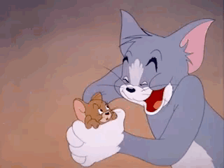  猫和老鼠
