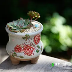 韩式韩国多肉植物花盆 长方形圆形 粗陶 个性创意 手工手绘浮雕-淘宝网
