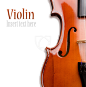 Violin on a white background. Insert your text #弦乐器#