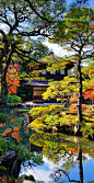Beautiful Colors of Ginkaku-ji Temple in Kyoto, Japan during the fall season