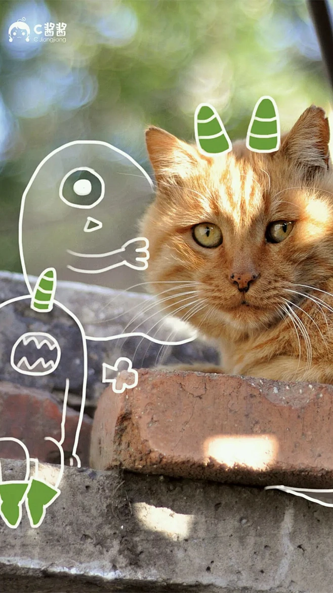 萌萌哒猫咪可爱配图 #猫咪##萌宠# #喵星人#图片_喵星球生物图片素材-花瓣网