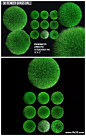 源文件 - 创意3D渲染球状绿藻植物背景_背景底纹_素材下载-乐分享素材网