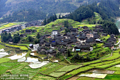 迟到的红叶采集到场景参考风景