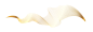 金色线条 png