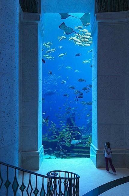 水族馆