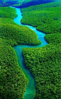 Plan your Trip to the Amazon Rainforest using the World's Smartest Trip Planner - TripHobo.